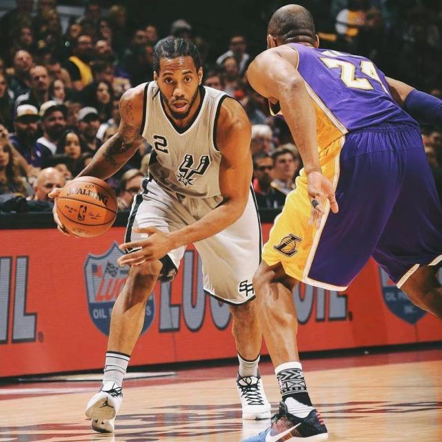 帕利尼亚作 帕利尼亚作