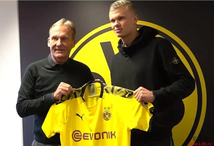 护筐即插即 护筐即插即