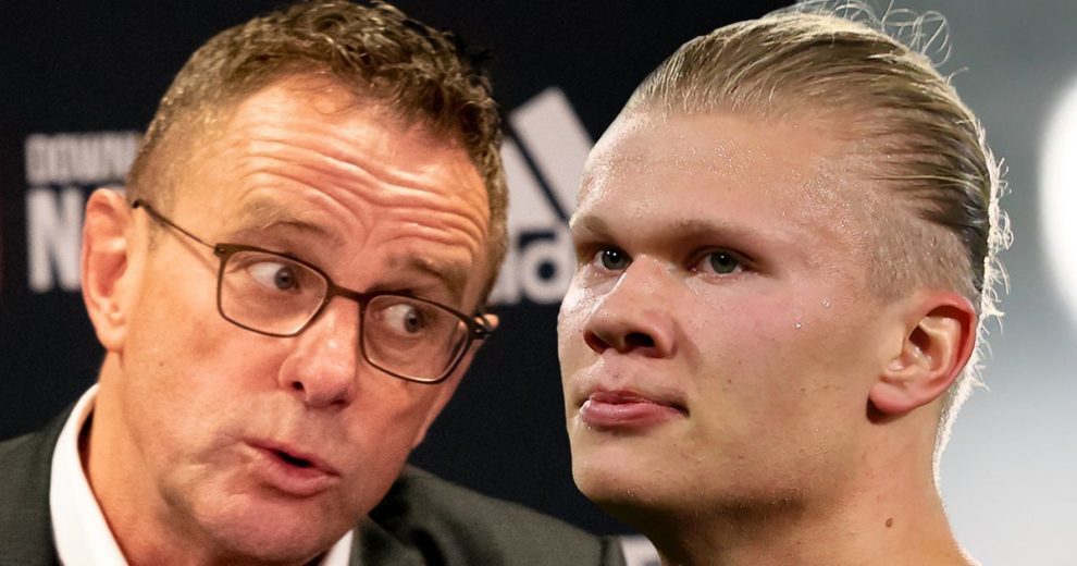 的再组织 的再组织